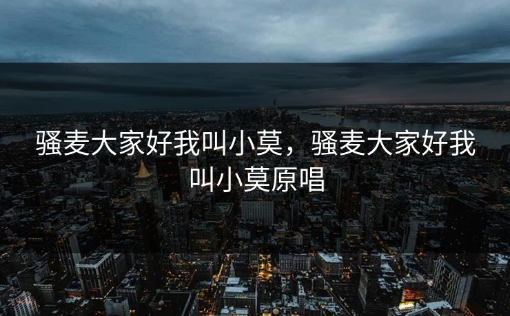 骚麦大家好我叫小莫，骚麦大家好我叫小莫原唱