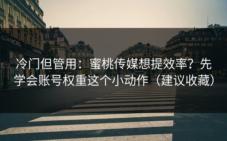 冷门但管用：蜜桃传媒想提效率？先学会账号权重这个小动作（建议收藏）